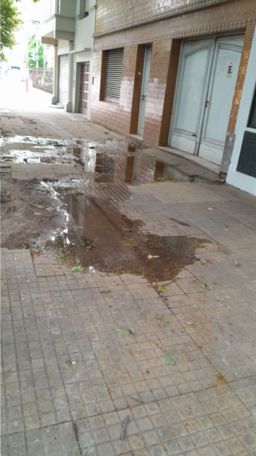 Una pérdida de agua en La Plata que lleva más de 10 meses: "Hay que bajar a la calle"
