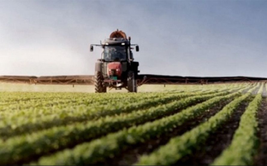 El campo podría tener la segunda mayor producción de la historia