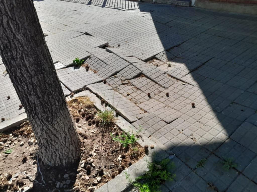 Se cayó una vecina en 57 entre 25 y 26 por una vereda destruida