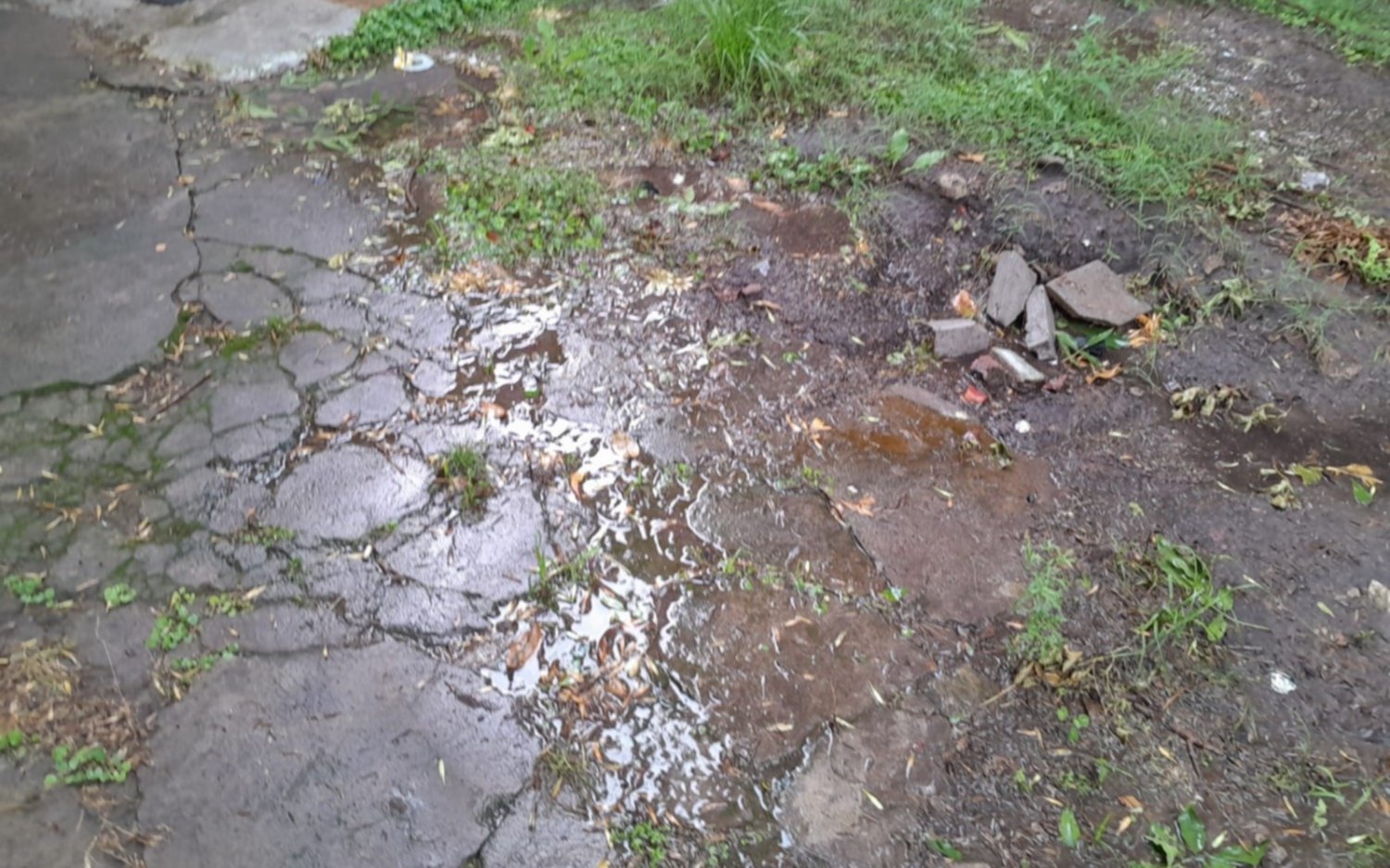 "Una laguna en la vereda", el reclamo de vecinos por pérdida de agua en La Plata