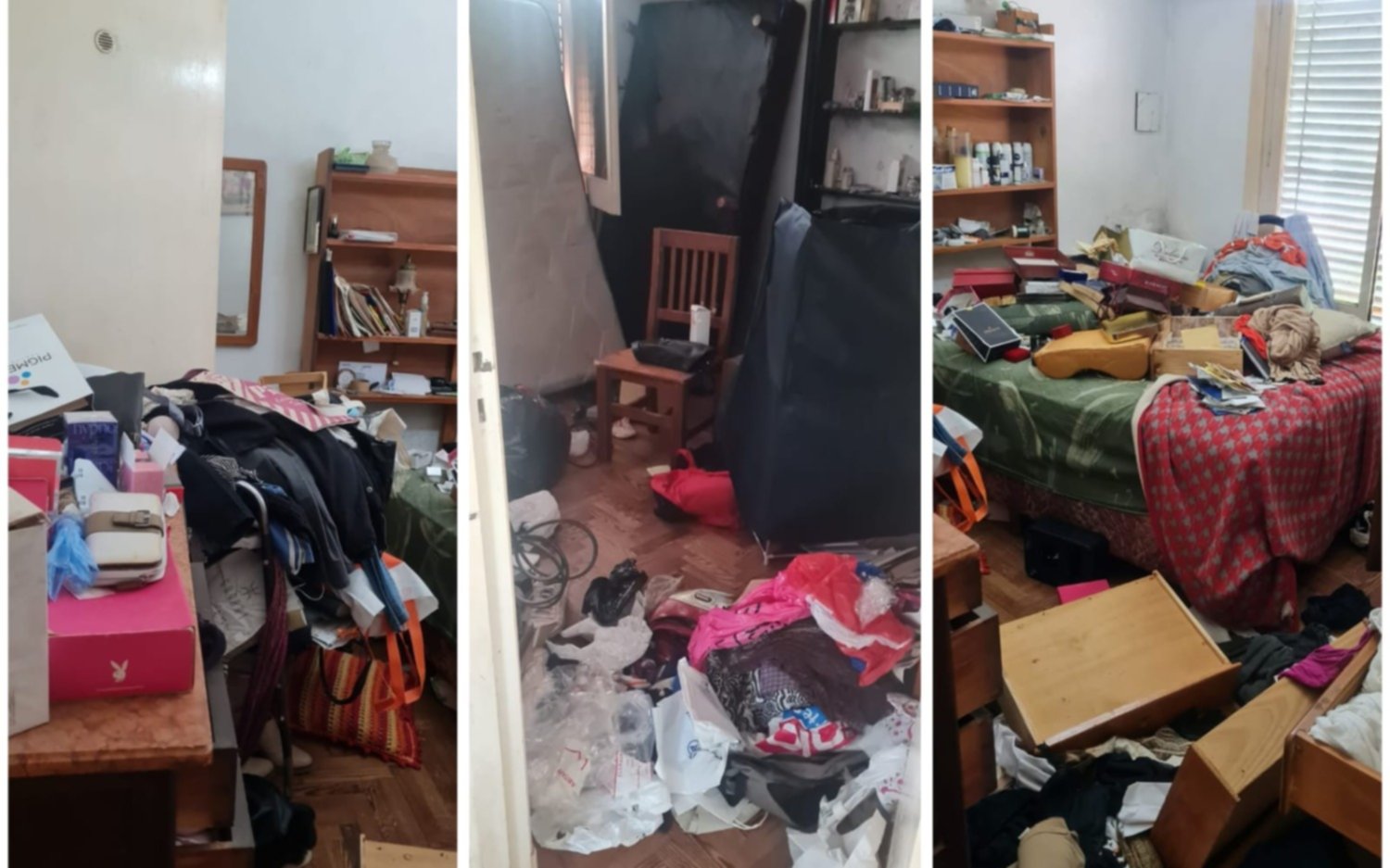 Desvalijaron una casa en La Plata y se llevaron hasta el perro, por el que ofrecen recompensa : "Que lo devuelvan"