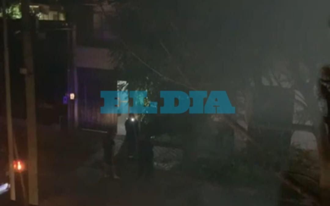 Tolosa bajo el acecho de “Tarzán”: los delincuentes tiene una nueva modalidad para atacar a los vecinos