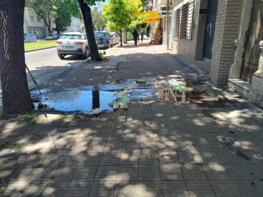 Desborde cloacal, pérdida de agua y fuerte olor nauseabundo en 19 y 49