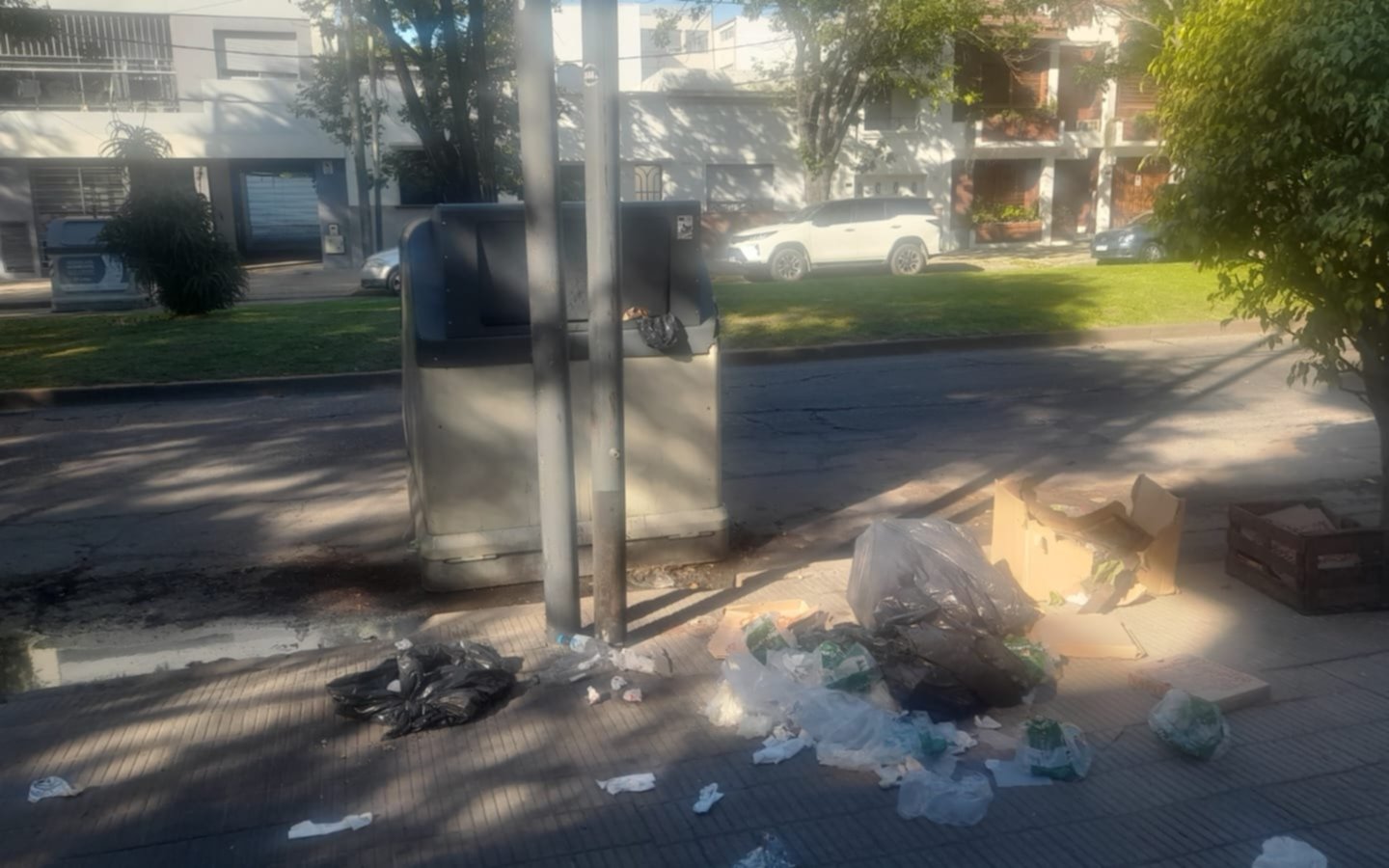 Vecinos de La Plata, indignados por basura desparramada en la vereda