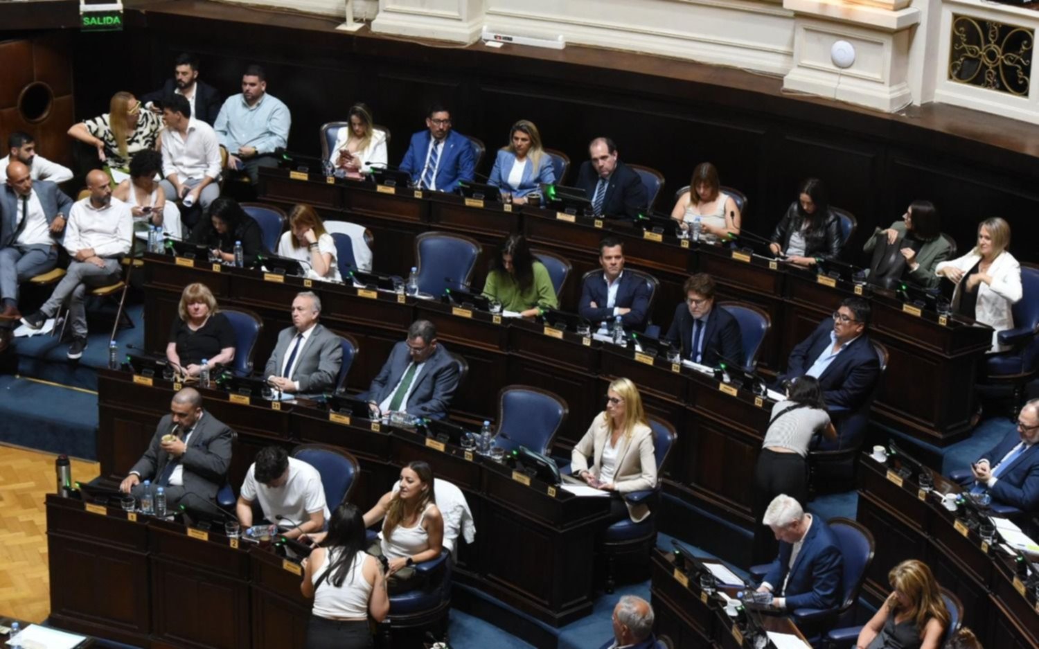 Provincia: Diputados aprobó la creación de la empresa estatal de medicamentos