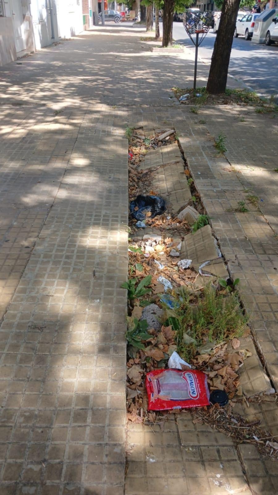 Vereda destruida por un caño de ABSA que “se desmoronó”