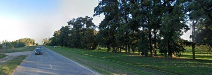 El delito “brota” en La Plata: robaron 80 millones de pesos en semillas
