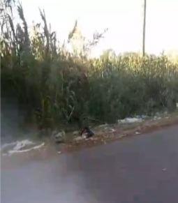 Había un basural, limpiaron y otra vez el problema en la zona de 600, 137 y 139