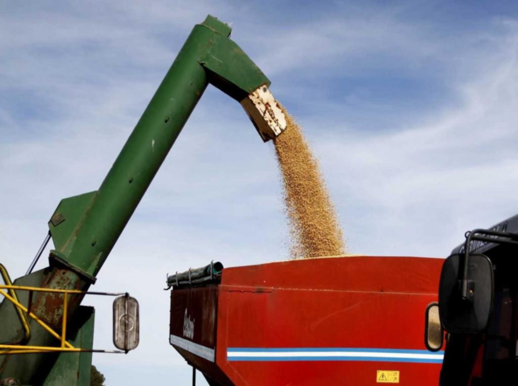 El país cultiva menos soja y perdió U$S 28 mil millones en 10 años