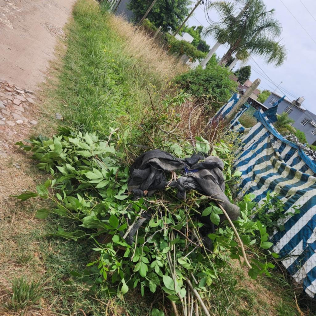 En Sicardi llevan meses sin recolección de basura