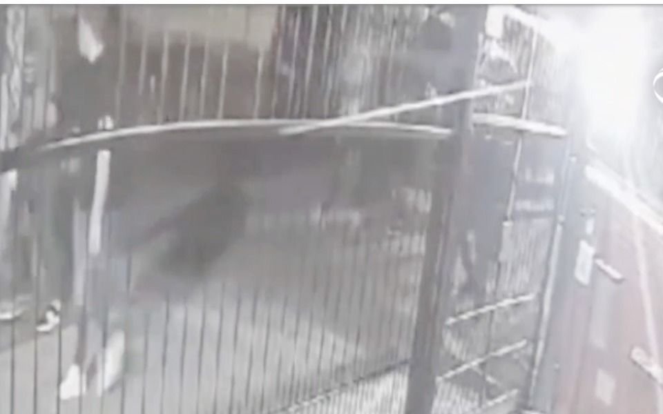 VIDEO. "Mirando los celulares": así escaparon los 17 presos de una Comisaría porteña