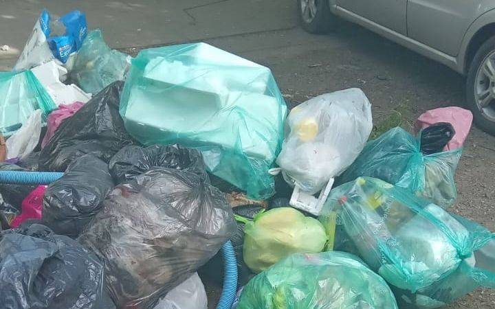 Una "montaña" de basura en una esquina de Hernández