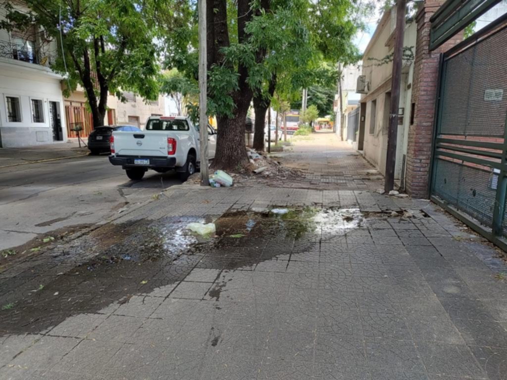 Quejas por una laguna en plena vereda en 20 entre 59 y 60