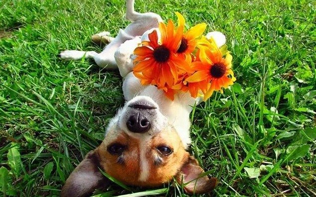 La Plata sigue en "modo primavera" y el verano todavía brilla por su ausencia