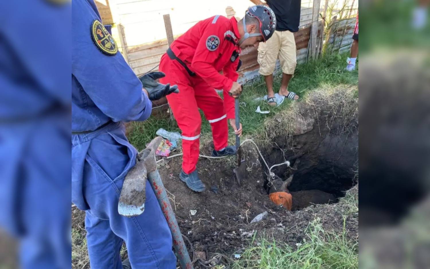 Importante operativo de rescate para un caballo que cayó a un pozo en La Plata