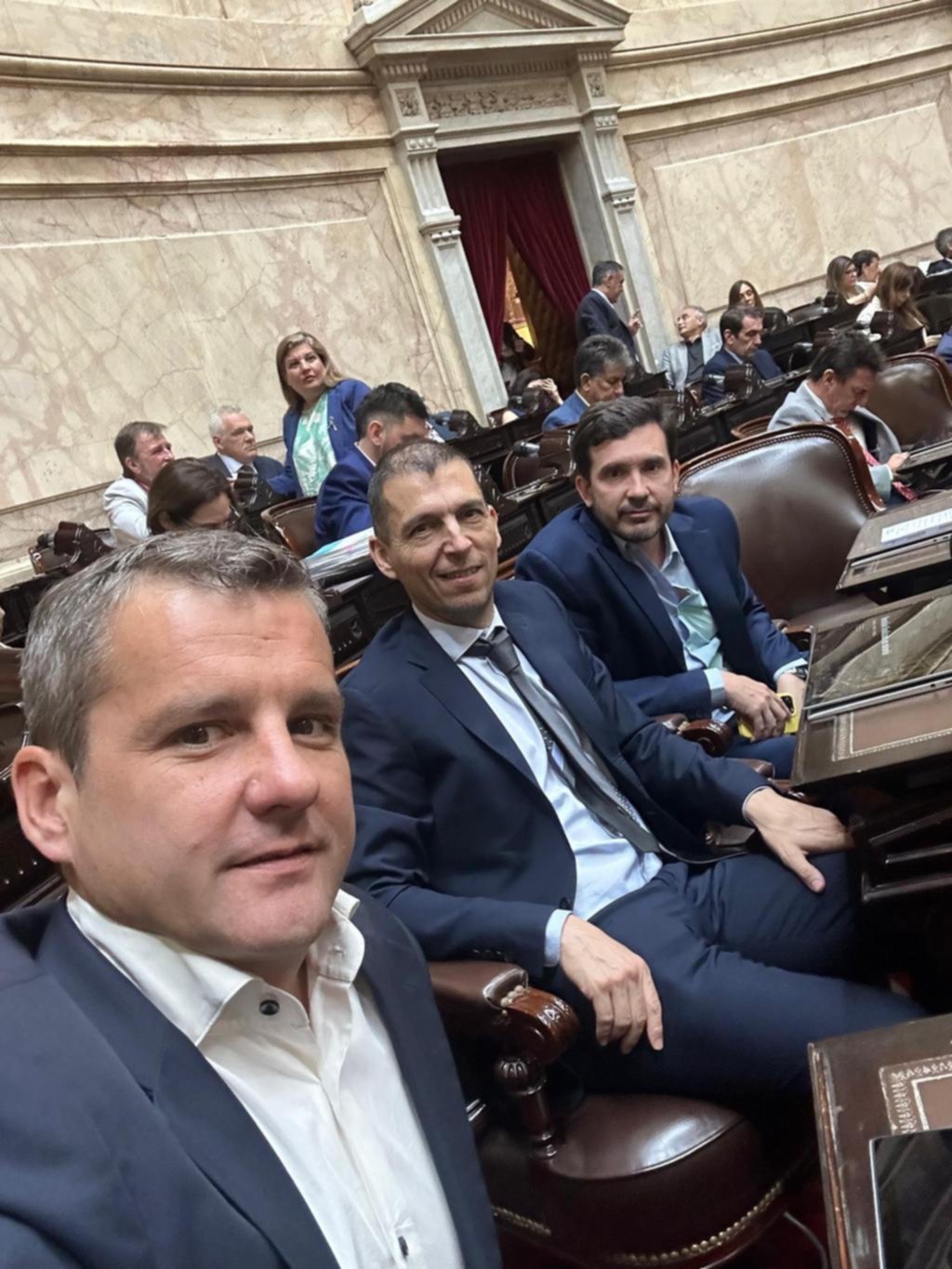 Los aliados de LLA ponen en juego más del 60% de las bancas