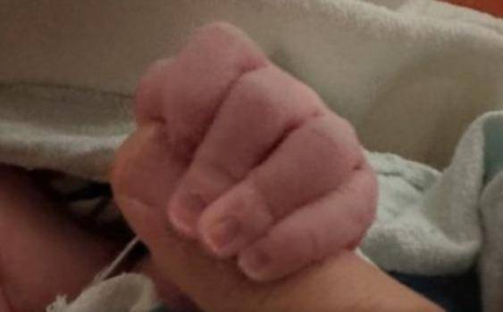 Llegó Milenka: se agrandó la familia de Marley