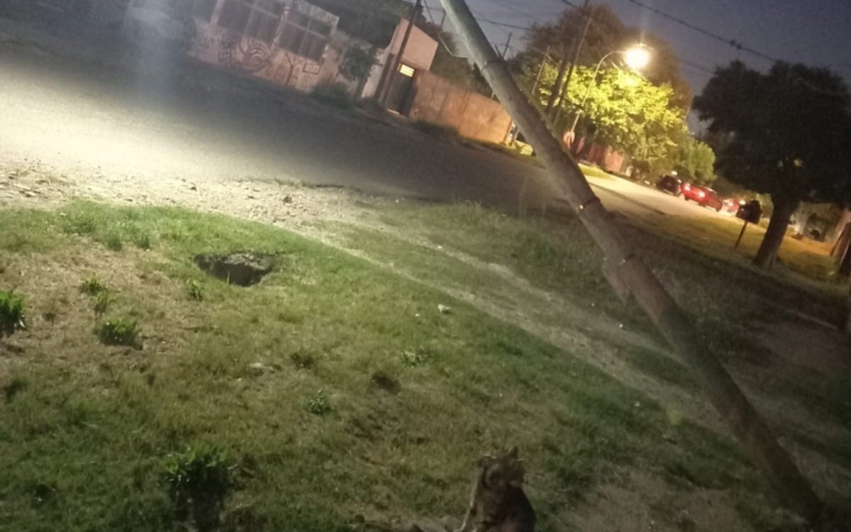 Se cayó un poste de luz en una zona de Los Hornos