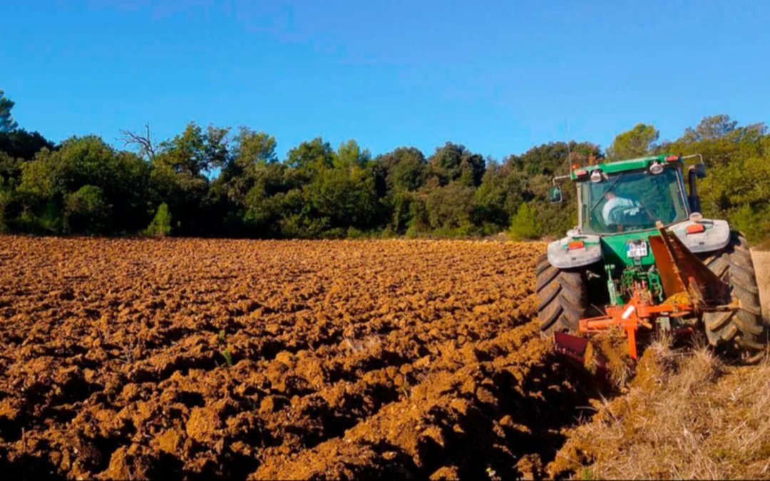 La Justicia aceptó el amparo de productores bonaerenses por el fuerte aumento del Impuesto Inmobiliario Rural
