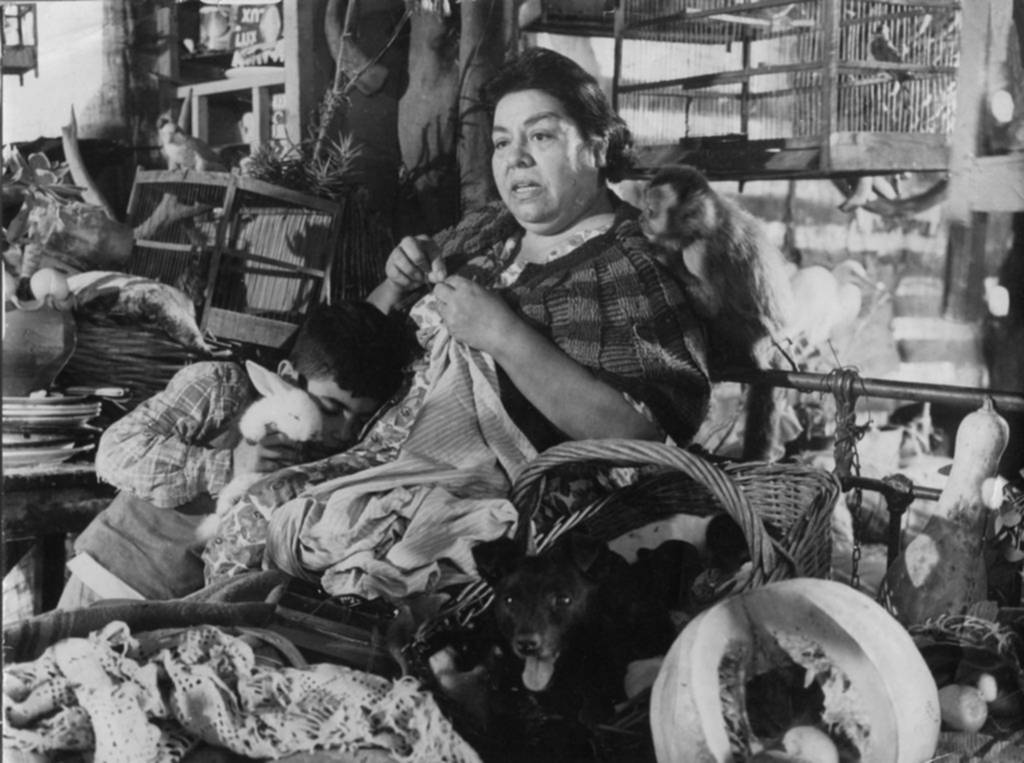 Películas, charlas y Birri: el Festival de Cine Argentino celebra su tercera edición