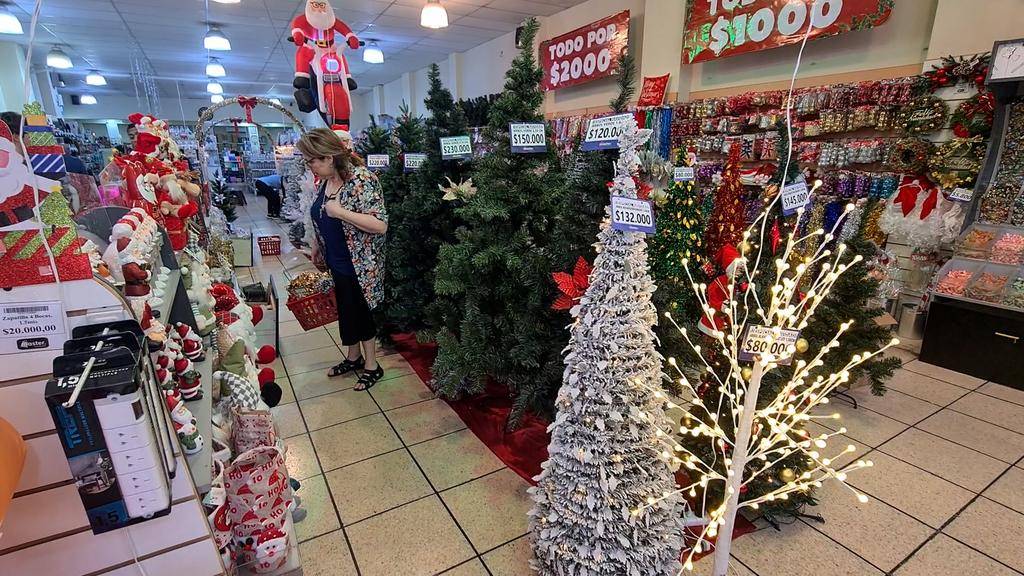 El arbolito de Navidad en La Plata con precios para todos los bolsillos