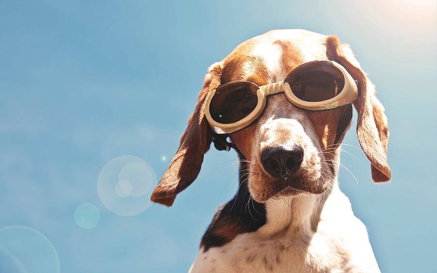 Sol a pleno y temperatura ideal este martes en La Plata: el tiempo para esta semana