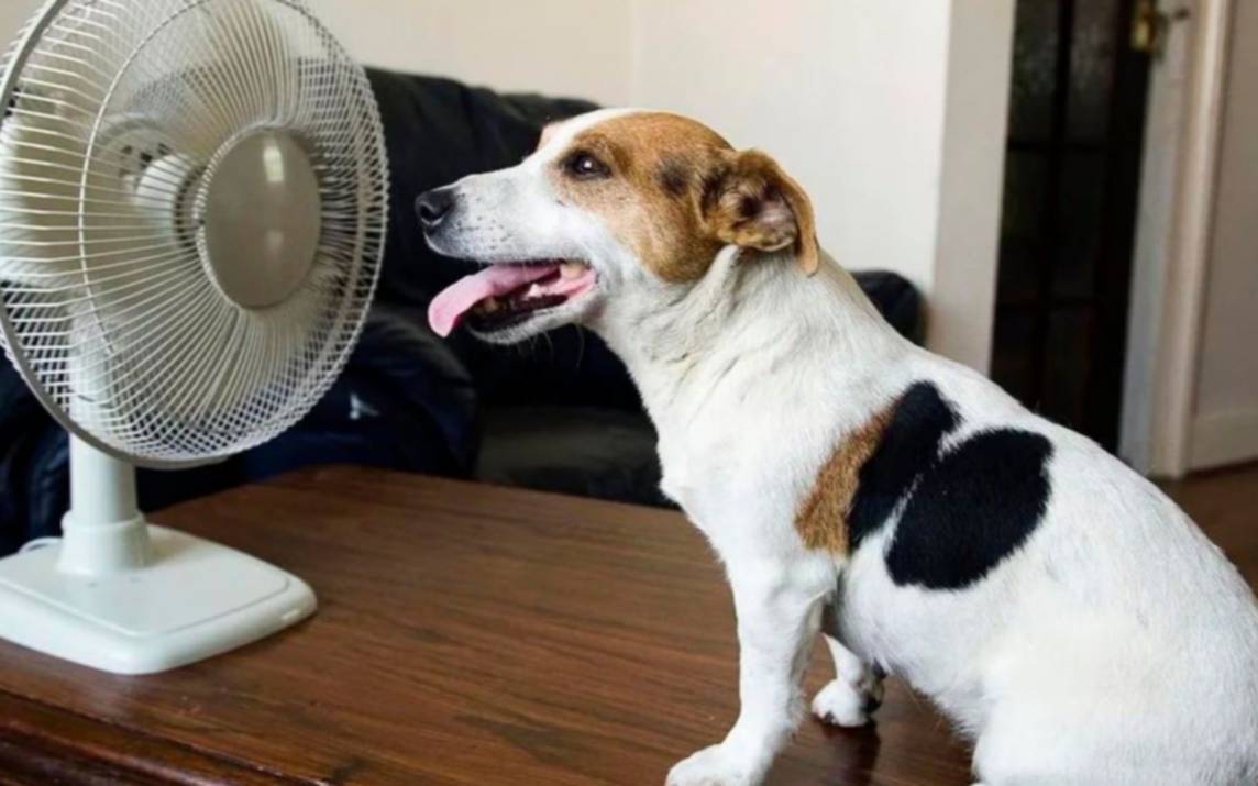 Arranca este miércoles un mini verano en  La Plata: ¿a cuánto se eleva la temperatura?