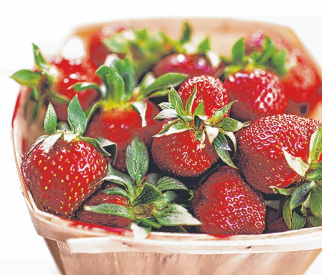 La Plata suma su “Fiesta de la Frutilla”: venta, talleres y música en vivo