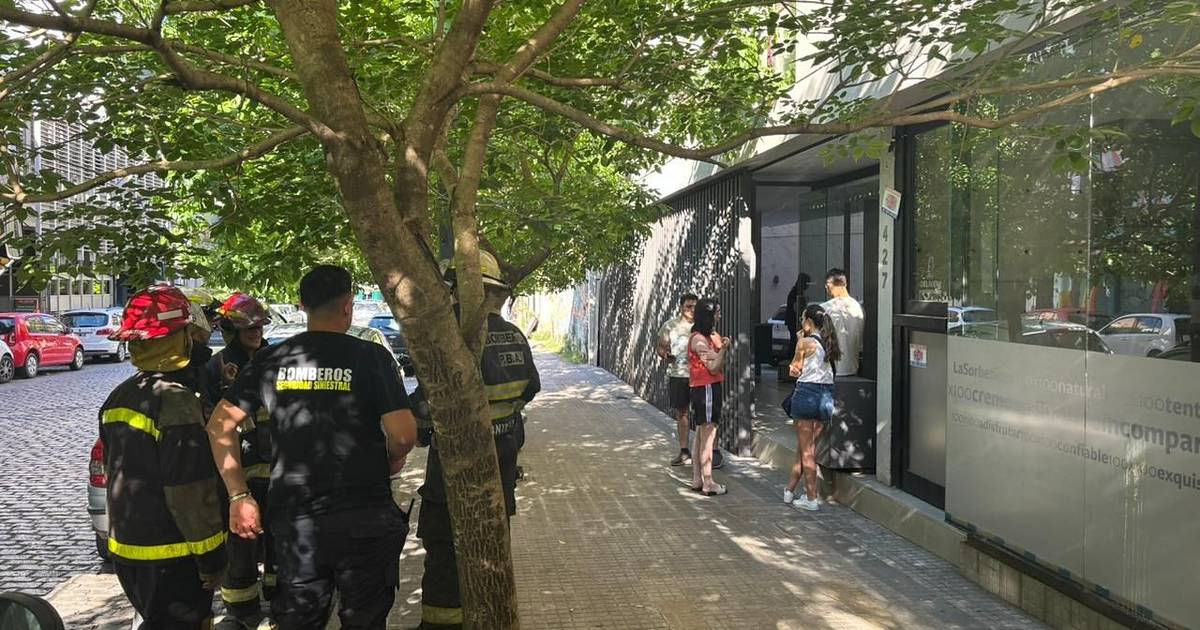 VIDEO.- Dramática mañana en edificio de pleno centro de La Plata que ...