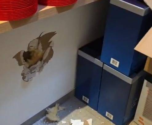 No quedó ni el pan dulce: golpe comando y cajas navideñas robadas