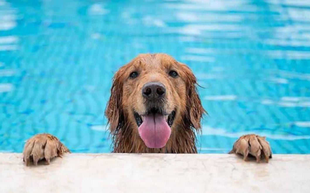 No afloja el "mini verano" agobiante y ¿se vienen tormentas?: el tiempo para este finde largo en La Plata