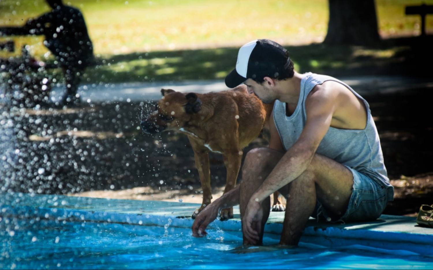 Fin de semana con nubosidad variable y temperaturas templadas en La Plata