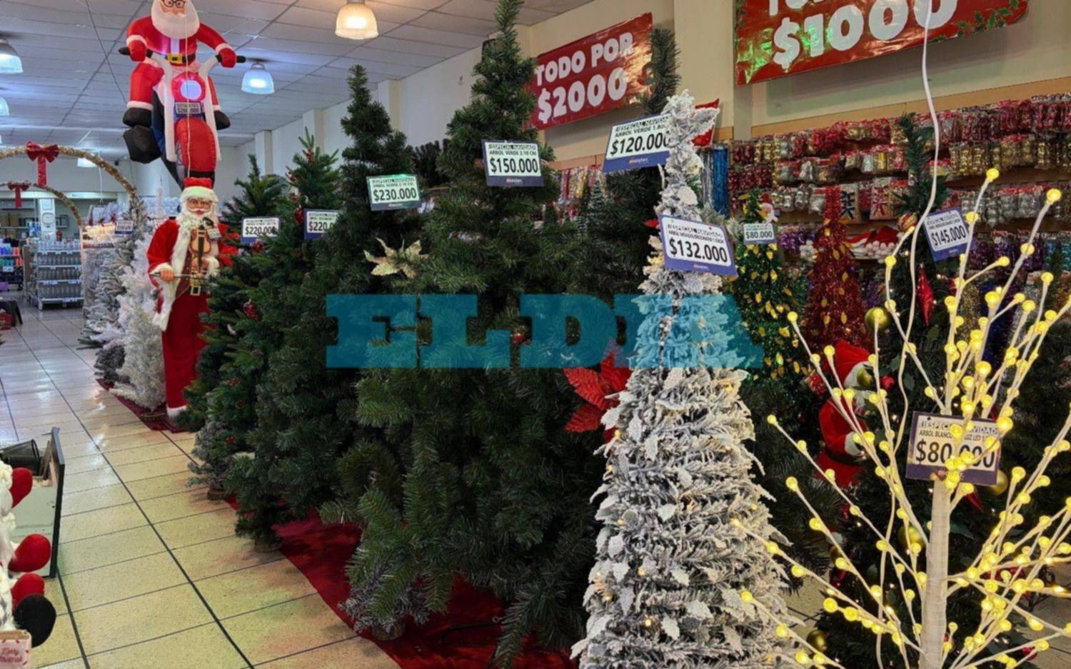 El costo de la Navidad: ¿cuánto sale armar el arbolito en La Plata?