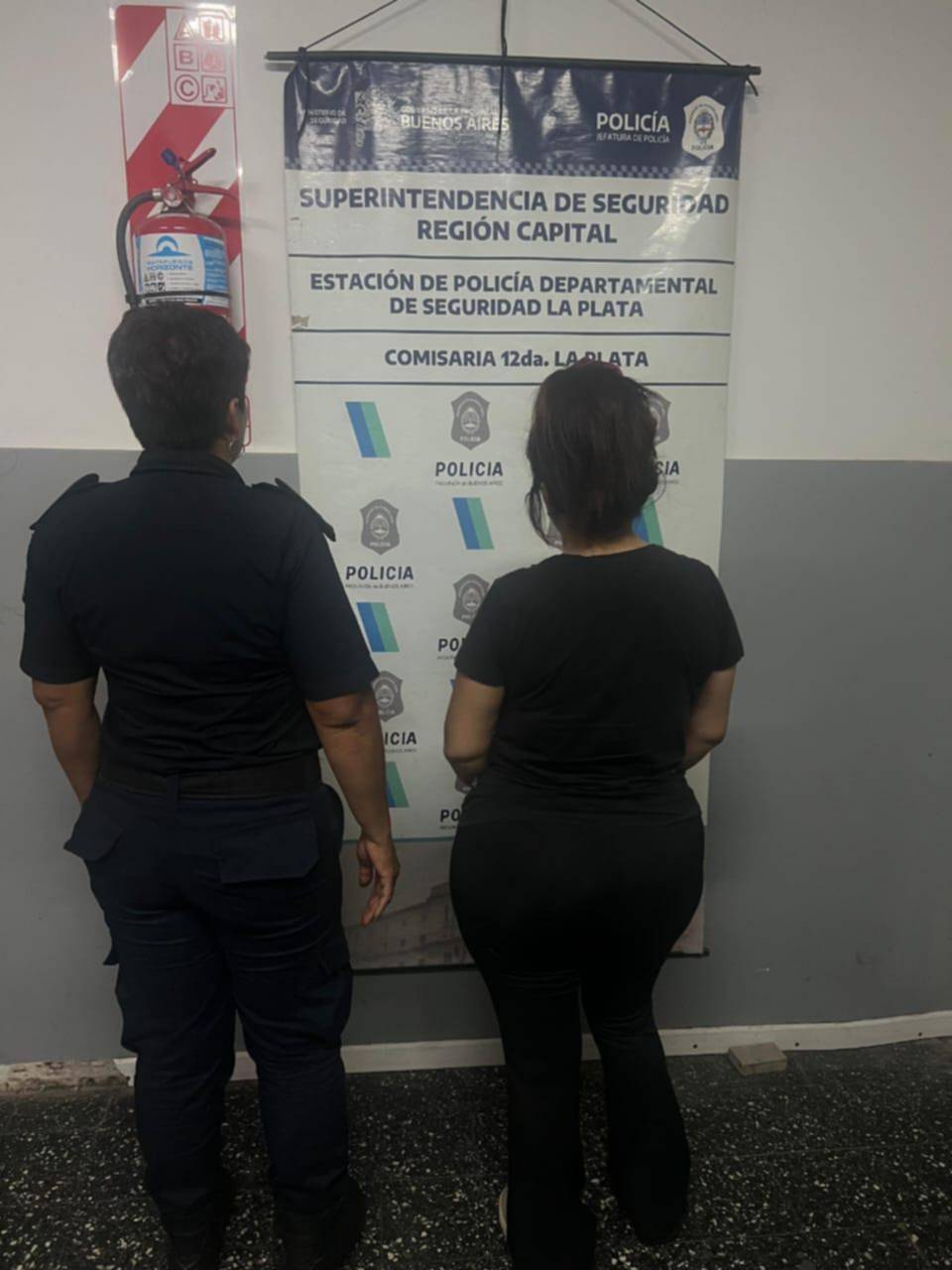 Maniataron a una jubilada en medio de un asalto en Villa Elisa