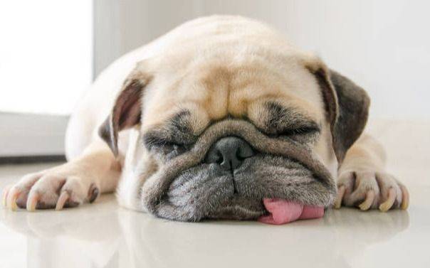 Asoman chaparrones aunque la temperatura será agradable este martes en La Plata