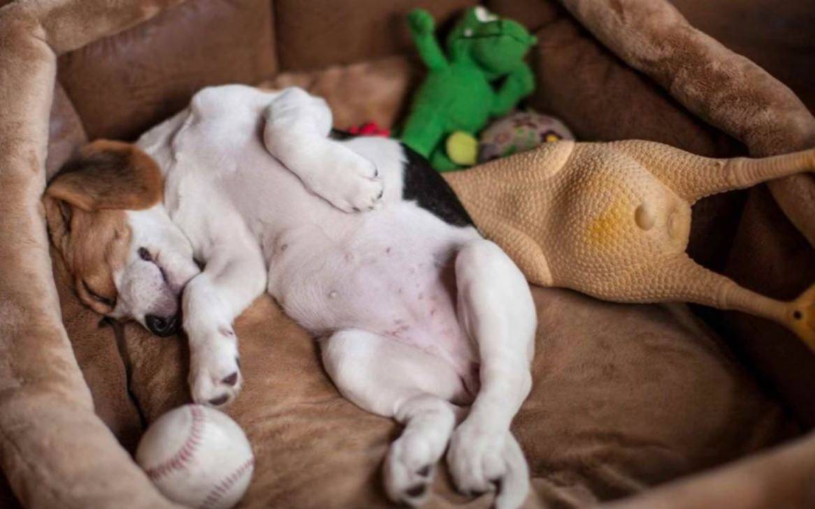 Sube la temperatura este miércoles en La Plata y rige alerta por tormentas fuertes: a qué hora llegarían