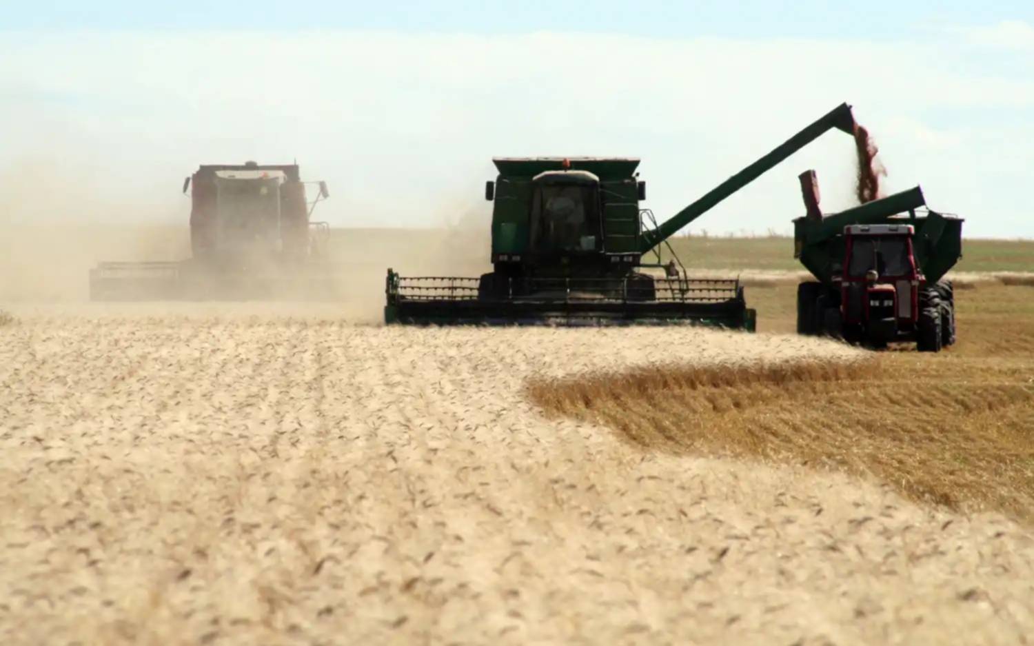 La rebaja de retenciones no modifica el precio del trigo nacional 