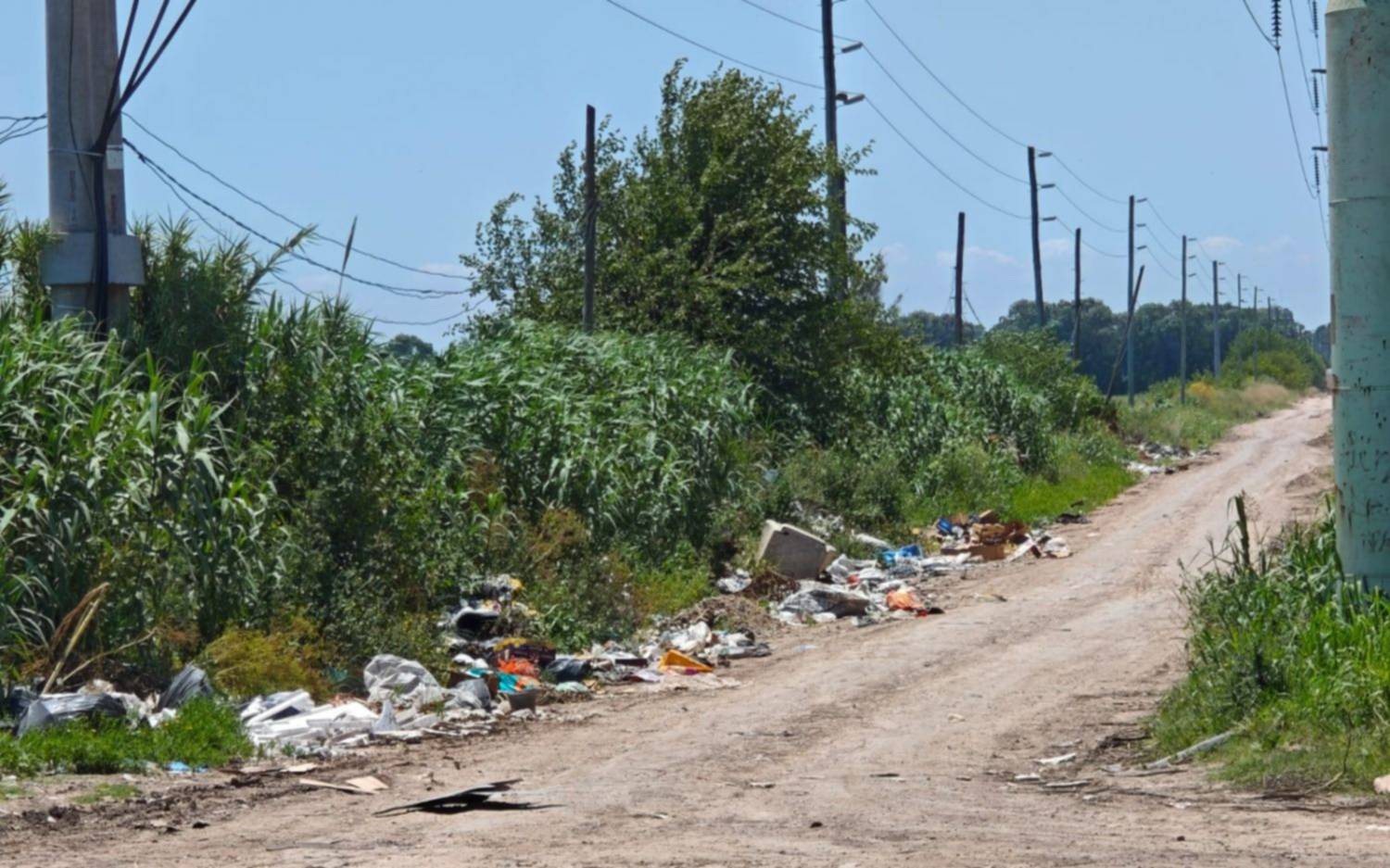 “Un basural a cielo abierto y roedores de todo tipo” en Melchor Romero