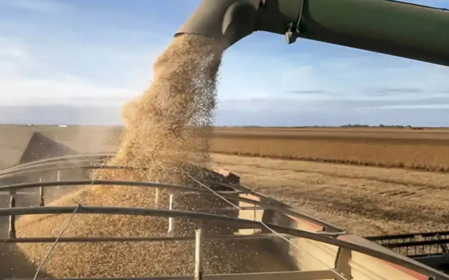 Carbap respalda la baja de retenciones y reclama reactivar el Plan Maestro del Río Salado