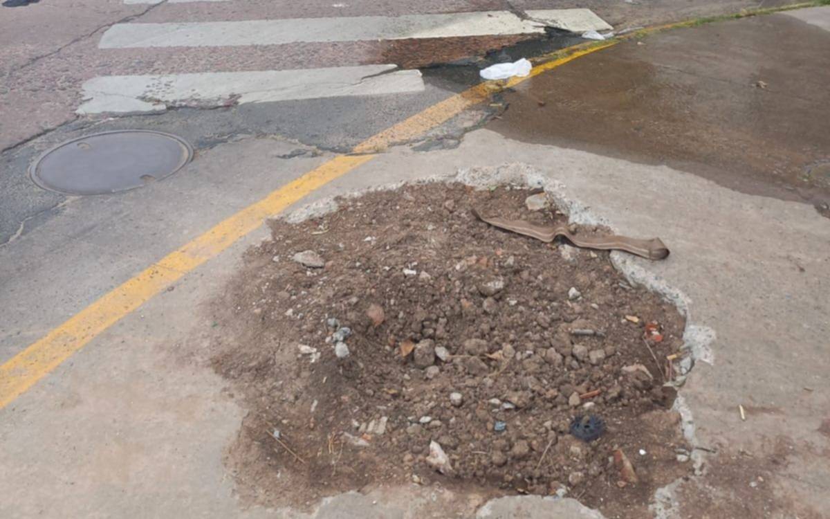 Importante pérdida de agua en Parque Castelli
