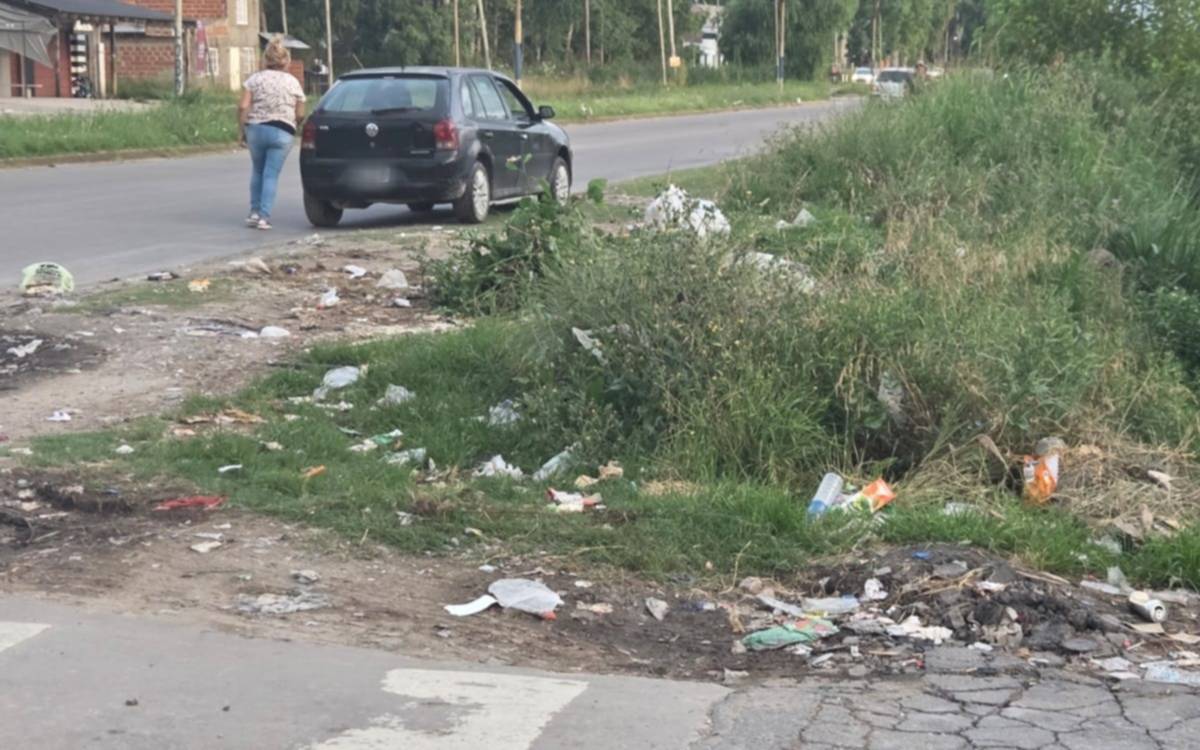 Vecinos de un barrio de La Plata reclaman falta de limpieza y corte de pasto