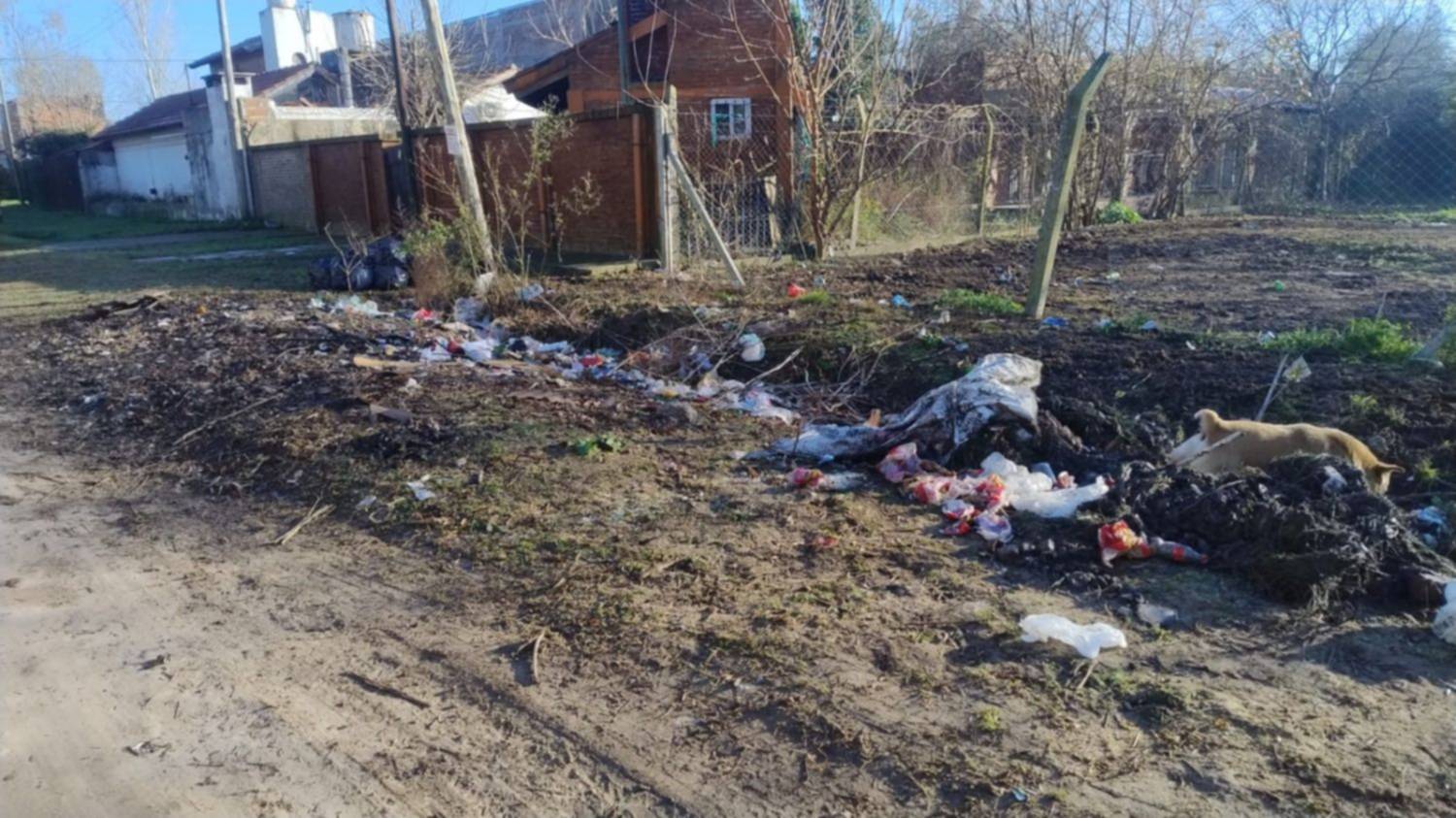 Vivir entre “basura, animales muertos y ratas”: el reclamo de un barrio de La Plata