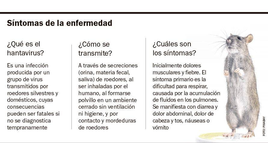 Alerta hantavirus: suben los casos y la Provincia concentra la mayor carga del país