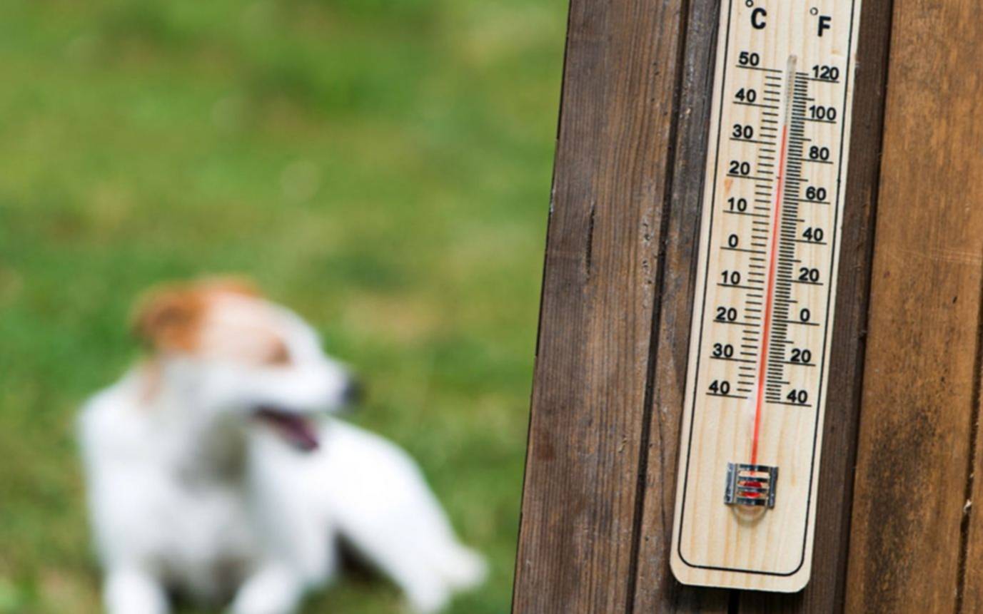 Sol y mucho calor este sábado en La Plata pero desmejora: lluvia y alivio a la vista