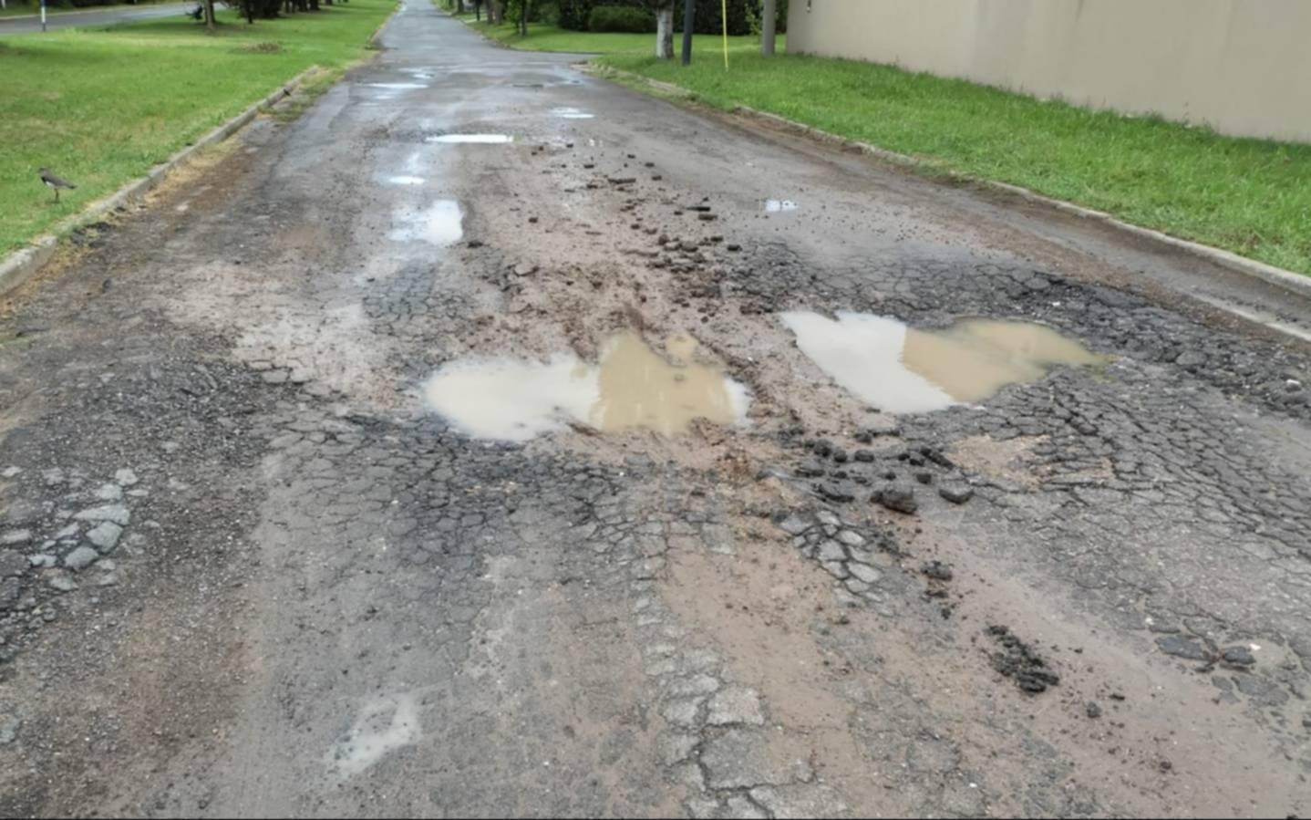 Vecinos de Hérnandez reclaman por un bache que ocupa “toda la calle”