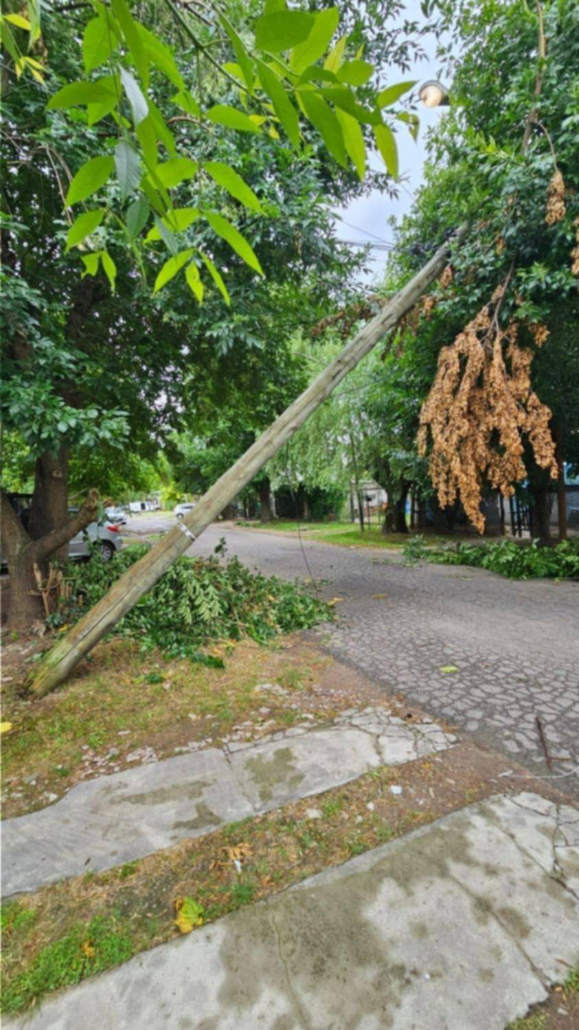 Alertan por un poste a punto de caer en 461 C entre 15 A y 16