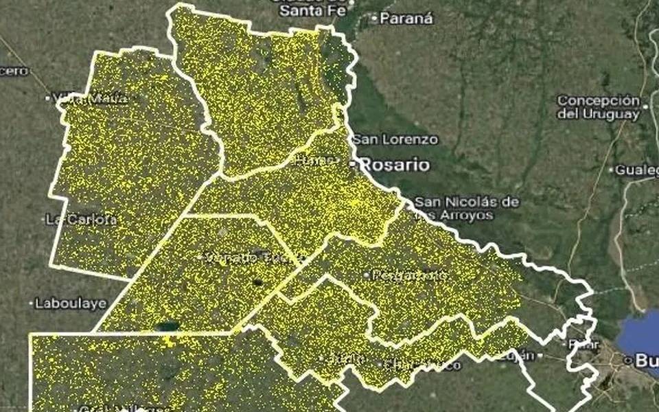 Trigo récord en Junín: rindes históricos con baja calidad y descuentos al productor