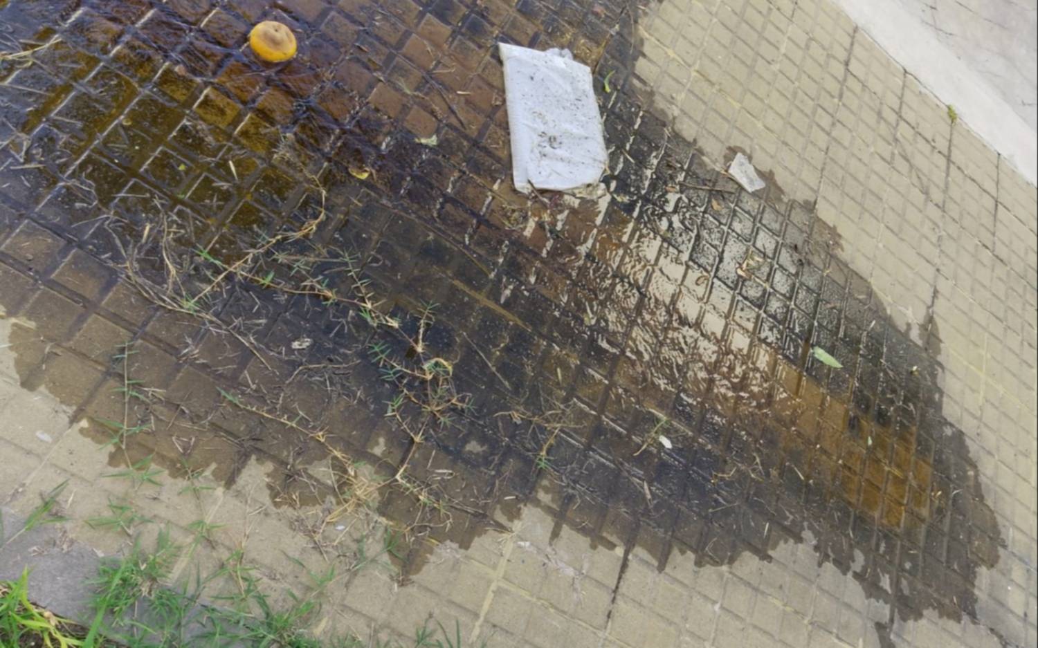 Pérdida de agua en La Loma “lleva más de un año”