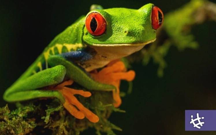 Destacada participación de la UNLP en el informe medioambiental de la ONU que abre serios dilemas para la humanidad