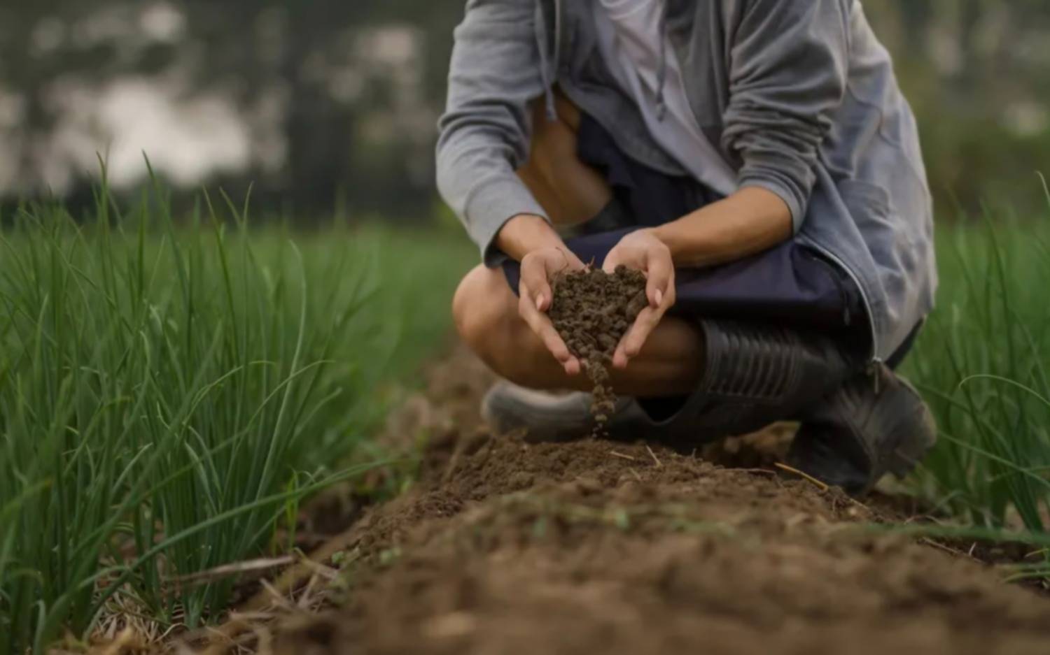 Jornada por el Día Mundial del Suelo 2025 destacó el rol del suelo en ciudades y producción